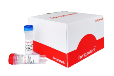 轉(zhuǎn)染試劑